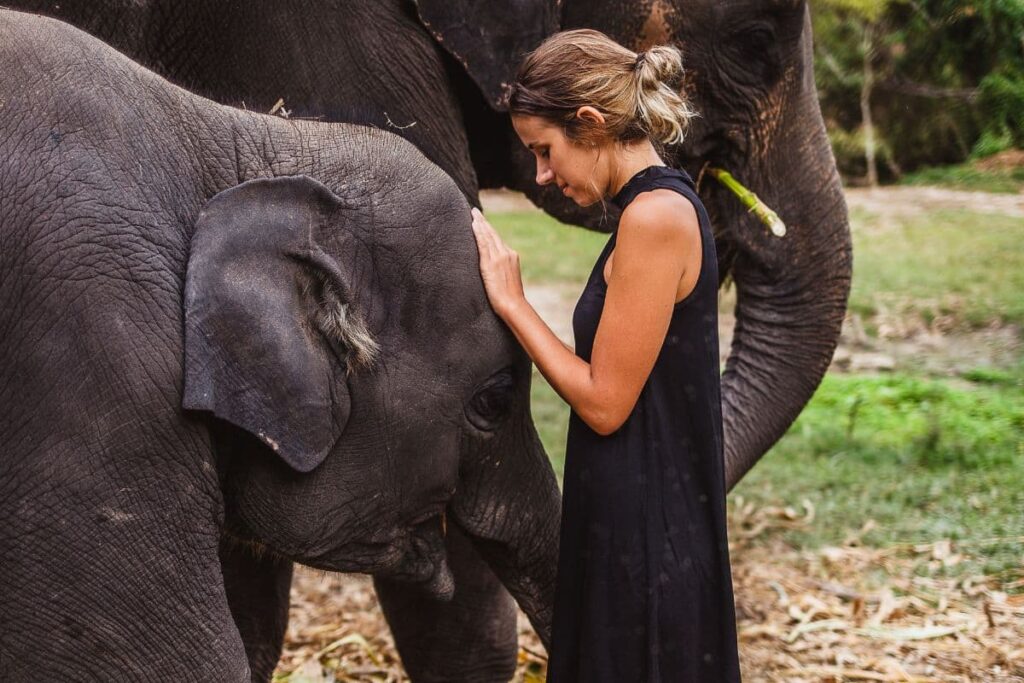 Tourist Interacting with Chiang Mai Elephants